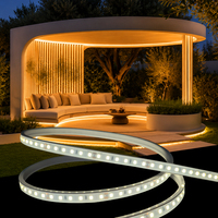 Bande lumineuse LED flexible en silicone LFB1004-4, découpe personnalisée, pliable, étanche IP66, néons pour pergola extérieure, restaurant