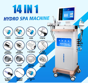 Hydrafacial le plus populaire, traitement du visage H2O2 14 en 1, machine multifonctionnelle anti-âge pour la peau VY-8053Platinum Facial 14 en 1 Hydr - Product Image 1