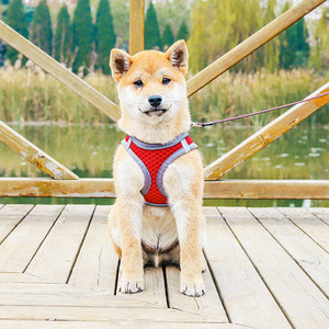 Arnés de malla transpirable T-Cross para perros pequeños y medianos, gatos y mascotas, con correa para paseo y transporte. - Product Image 2