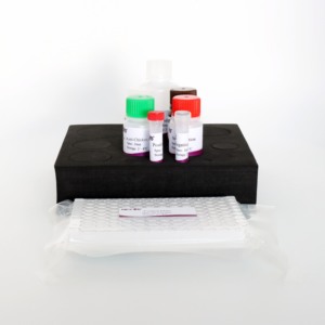 ALV-A-/B-<span class=keywords><strong>ELISA</strong></span>-Antikörper-Testkit mit hoher Spezifität | Vogelleukosevirus-Erkennung | Diagnose tool für Geflügel krankheiten (96T) - Product Image 6