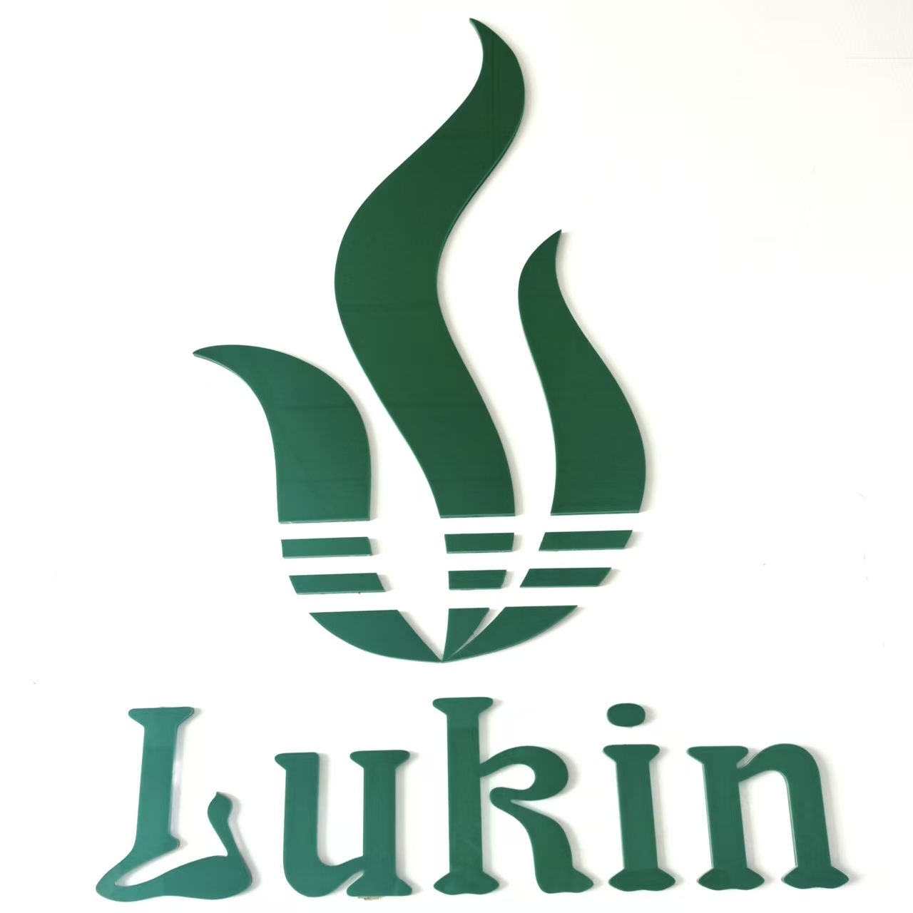 Shenzhen Lukin Hardware Co.,ltd
