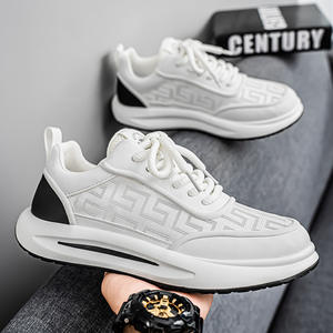 Nouvelles chaussures de sport décontractées pour hommes 2026, abordables, respirantes, extensibles, blanches, design de luxe - Product Image 4