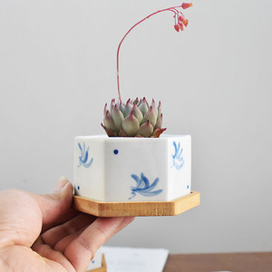 Ensemble de pots à fleurs <span class=keywords><strong>en</strong></span> céramique respirants et résistants à la corrosion, style chinois, motif floral bleu peint à la main, pour plantes succulentes, vert - Product Image 4