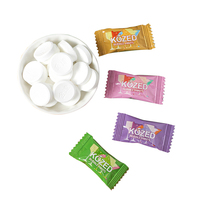 Sugar-Free Mint Tablet Candy with Vitamin Alcohol-Free 55g Box