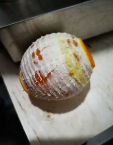 Machines industrielles pour peler les citrons et enlever les pelures d'orange - Product Image 6