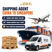 Transitaire de Chine vers la Belgique et Singapour, service de fret maritime FBA DDP pour fret FCL, dédouanement et livraison porte-à-porte