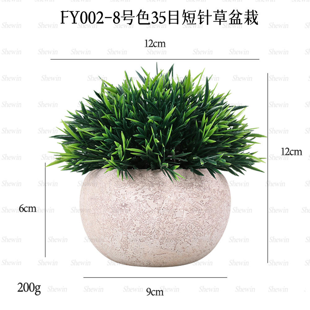 Petite plante en pot de pulpe d'herbe à aiguille courte