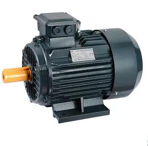 electric motor kw 18.5 size 160l type b3 b5 ip55 4poles s1 3000rpm induction motor IE1