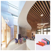 Plafonds décoratifs en faux aluminium pour hôtels et restaurants, dalles de plafond en aluminium, designs métalliques pour la décoration intérieure