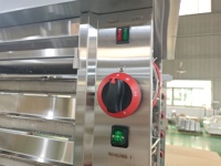 Four à rôtir au gaz commercial pour poulet, en acier inoxydable, avec 8 broches