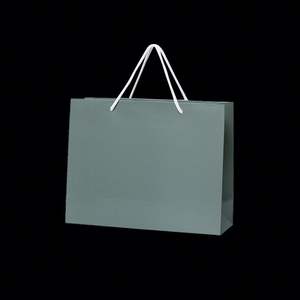 Sac d'emballage personnalisé pour vêtements et chaussures de luxe, en papier kraft, avec poignées, durable, réutilisable, recyclable, style classique, taille personnalisable - Product Image 2