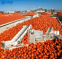 Automatische Industriële Fabriek Prijs Tomatenpuree Saus Fruitverwerkingsfabriek Ketchup Productielijn Maken Machine