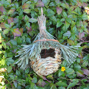 Cage à oiseaux en herbe tressée faite à la main, arrondie, écologique, décorative, taille moyenne, origine Fujian - Product Image 4