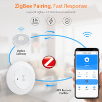 TUOAN Tuya WiFi/ZigBee 24G MmWave Radar Smart Human Presence prend en charge la création de groupes de produits locaux