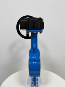 Proveedor de Válvulas de Mariposa de Hierro Fundido Tipo Marino DN20-DN300 de Buena Venta - Product Image 6