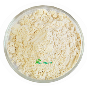 Plantenextract <span class=keywords><strong>Dahurian</strong></span> Lariks Hout <span class=keywords><strong>Extract</strong></span> Groothandel Dihydroquercetine 98% Taxifolin Poeder Cas 480-18-2 - Product Image 2