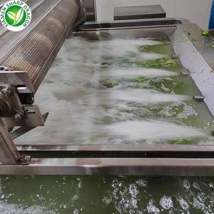 供应商批发优质有机出口IQF切片散装甜椒绿色红色黄色 - Product Image 6