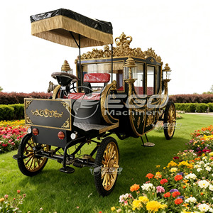 Carroza Eléctrica Retro de Acero 2025 con Ruedas de Fibra de Vidrio para Paseos Turísticos en Parques al Aire Libre y Bodas en Venta - Product Image 6