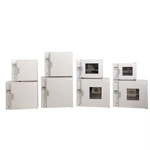 Estante <span class=keywords><strong>para</strong></span> <span class=keywords><strong>Horno</strong></span> de Secado DGG, <span class=keywords><strong>Horno</strong></span> Eléctrico de Calor con Circulación de Aire Caliente - Product Image 2