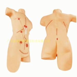 Modèle de démonstration de sutures et de bandages chirurgicaux ; techniques d'incision chirurgicale ; nettoyage infirmier ; enlèvement des sutures et - Product Image 1