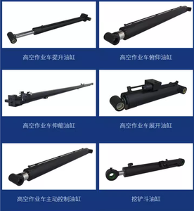 מלגזה טילט הידראולי גליל מלא טווח מלא מותאם אישית משלוח מהיר - Product Image 3