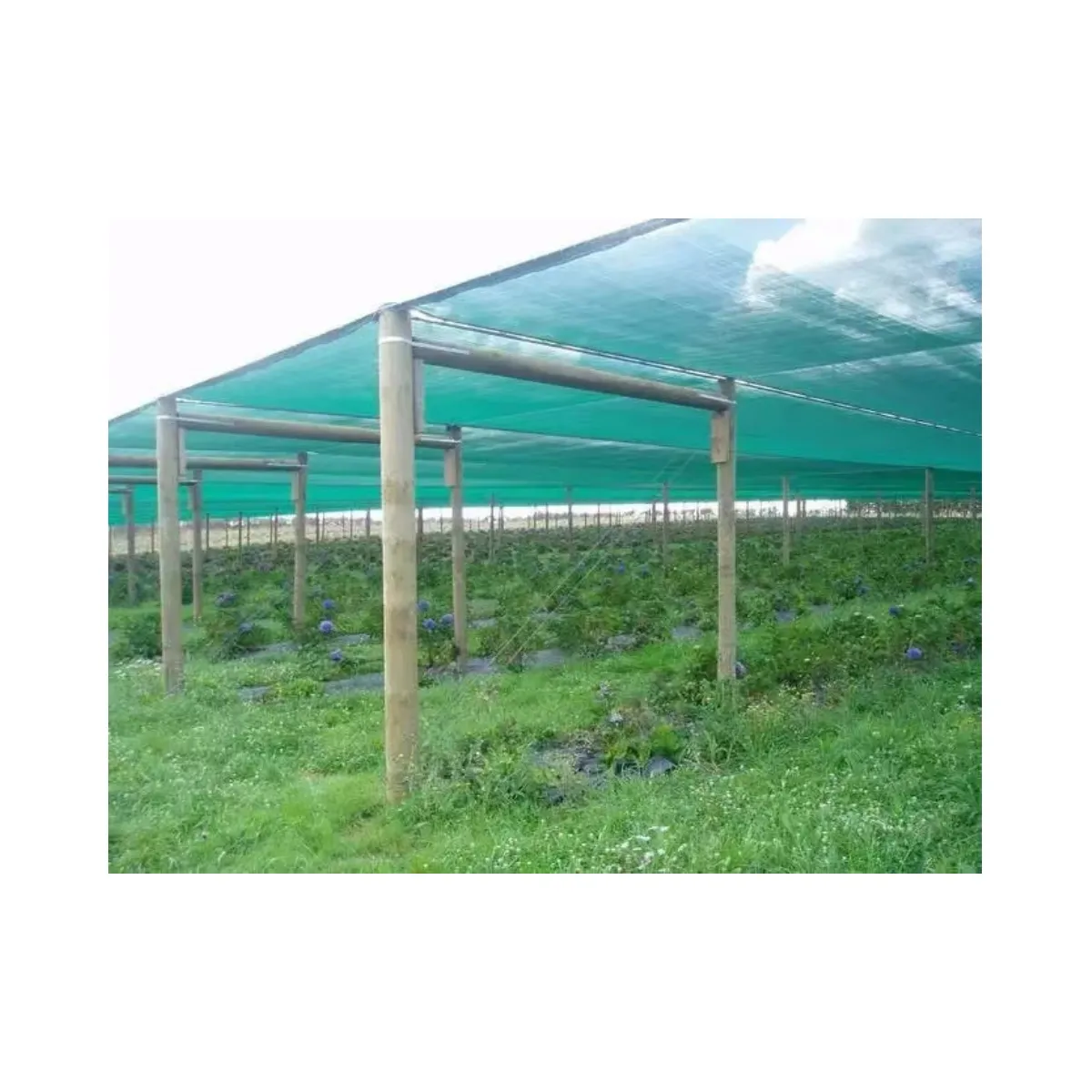 waterproof shade net suppliers agriculture waterproof sail waterproof hdpe shade net