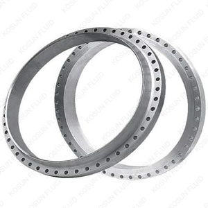 Bride en acier inoxydable forgé PN6 PN10 PN16 PN25 PN40 DN10 DN15 DN25 DN32 DN40 DN50 DN65 DN80 DN100 SS 304 316 DIN EN1092 - Product Image 4