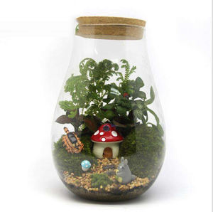 <span class=keywords><strong>Terrario</strong></span> <span class=keywords><strong>in</strong></span> <span class=keywords><strong>Vetro</strong></span> Borosilicato Soffiato a Bocca all'Ingrosso di Fabbrica 20cm*14cm 10cm*12cm - Product Image 2