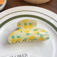 Nouvelle collection Printemps-Été : Pince à cheveux en acétate à imprimé fruits (Kiwi, Citron) – Accessoire vintage pour femme