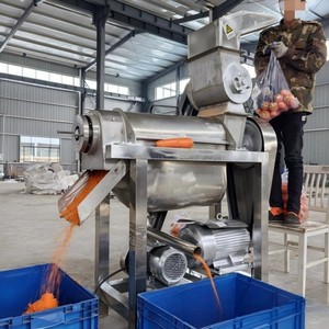 Presse-agrumes de haute qualité pour usage domestique et commercial, extracteur de <span class=keywords><strong>jus</strong></span> de gingembre pour boissons <span class=keywords><strong>maison</strong></span> - Product Image 2