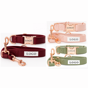 Metalen Gesp Verstelbare Lederen Hondenhalsriem Set Luxe Custom Huisdier Kragen & Riem Voor Kleine Middelgrote Lopen - Product Image 1