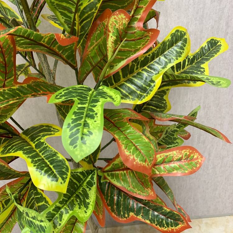 กองทัพสีเขียว