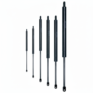 C 400 Course F 400 N CYLINDRE OLÉOPNEUMATIQUE (VO40/040) - Product Image 1