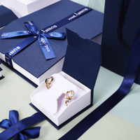 Sunny Pack Emballage pour bijoux de haute qualité Fabricant de bijoux en forme de maison Boîte à bijoux bleu royal avec pochette et sac en papier