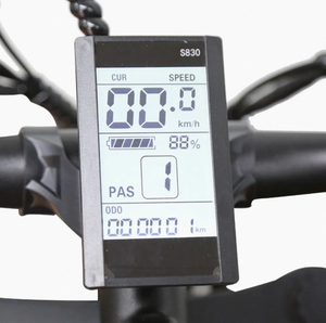 Nueva Bicicleta Eléctrica Estilo Motocicleta con Llantas Gruesas de 24 Pulgadas, 12 Velocidades, Batería de Litio de 24V, Motor sin Escobillas de 750W, Aleación de Aluminio para Adultos - Product Image 4