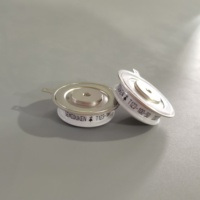 T123-100-50 100A 5000V Thyristor SCR Tegangan Tinggi Semikonduktor Daya Tinggi untuk Kontrol Daya Industri