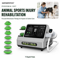 Équipement de thérapie par ondes de choc Kaphaphysio pour les blessures sportives des chevaux, la rééducation des tendons et des ligaments, équipement clinique