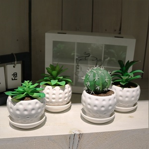 Plantes succulentes artificielles modernes <span class=keywords><strong>en</strong></span> plastique vert, cactus figue de Barbarie, mini plantes artificielles <span class=keywords><strong>en</strong></span> <span class=keywords><strong>pot</strong></span> avec <span class=keywords><strong>pot</strong></span> <span class=keywords><strong>en</strong></span> céramique - Product Image 4