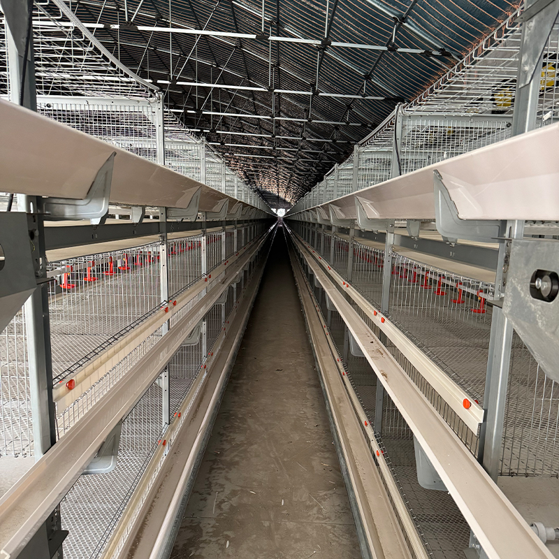 battery cage for broiler chicken