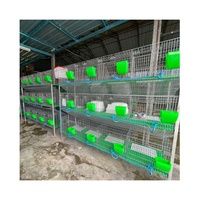 Cages d'élevage de lapins en fil de fer galvanisé à 12 portes pour usage agricole