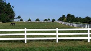 Longjie, прямая цена от производителя, Легко собранный 2 рельса, ПВХ пластиковый виниловый защитный забор для фермы и лошади - Product Image 5