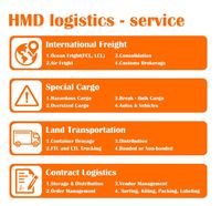 Service d'expédition internationale SWWLS Livraison porte à porte vers les États-Unis/le Royaume-Uni/le Canada et l'Europe