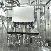 Ligne de remplissage automatique de bouteilles d'eau pure minérale pour animaux de compagnie, machine de remplissage d'eau potable, machine d'emballage de sachets d'eau