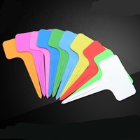 50 pièces 2.36*3.94 pouces 6*10 cm étiquette en plastique PP en forme de T pour bonsaï pièce d'étiquette réutilisable solide Durable