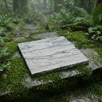 TY Shandong Granit Gris Blanc Naturel Écologique Moderne, Petite Dalle Brossée, Solution Complète pour Plans de Travail de Cuisine de Villa et de Parc