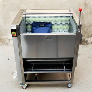 potato washing peeling machine fruit vegetable cleaning equipment