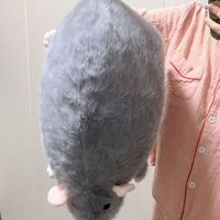 Jouets en peluche en gros : Souris en peluche, jouet pour chat, rat fantaisie, petite souris en peluche de 40 cm en vrac
