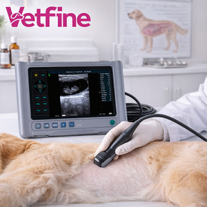 Alat USG Hewan Portabel Termurah untuk Hewan Peliharaan, USG Veteriner Berkualitas Tinggi untuk Sapi, Pemindai USG Veteriner Genggam - Product Image 1