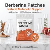 Patch transdermique personnalisé à l'extrait de berbérine végétalienne, marque privée, soutien immunitaire, patchs de berbérine pour la perte de poids