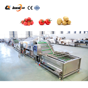 Línea Automática de Lavado y Secado de Tomates <span class=keywords><strong>Cherry</strong></span> de 2000 kg/h, Máquina Industrial de Limpieza de Frutas, Lavadora de Vegetales por Burbujas - Product Image 2